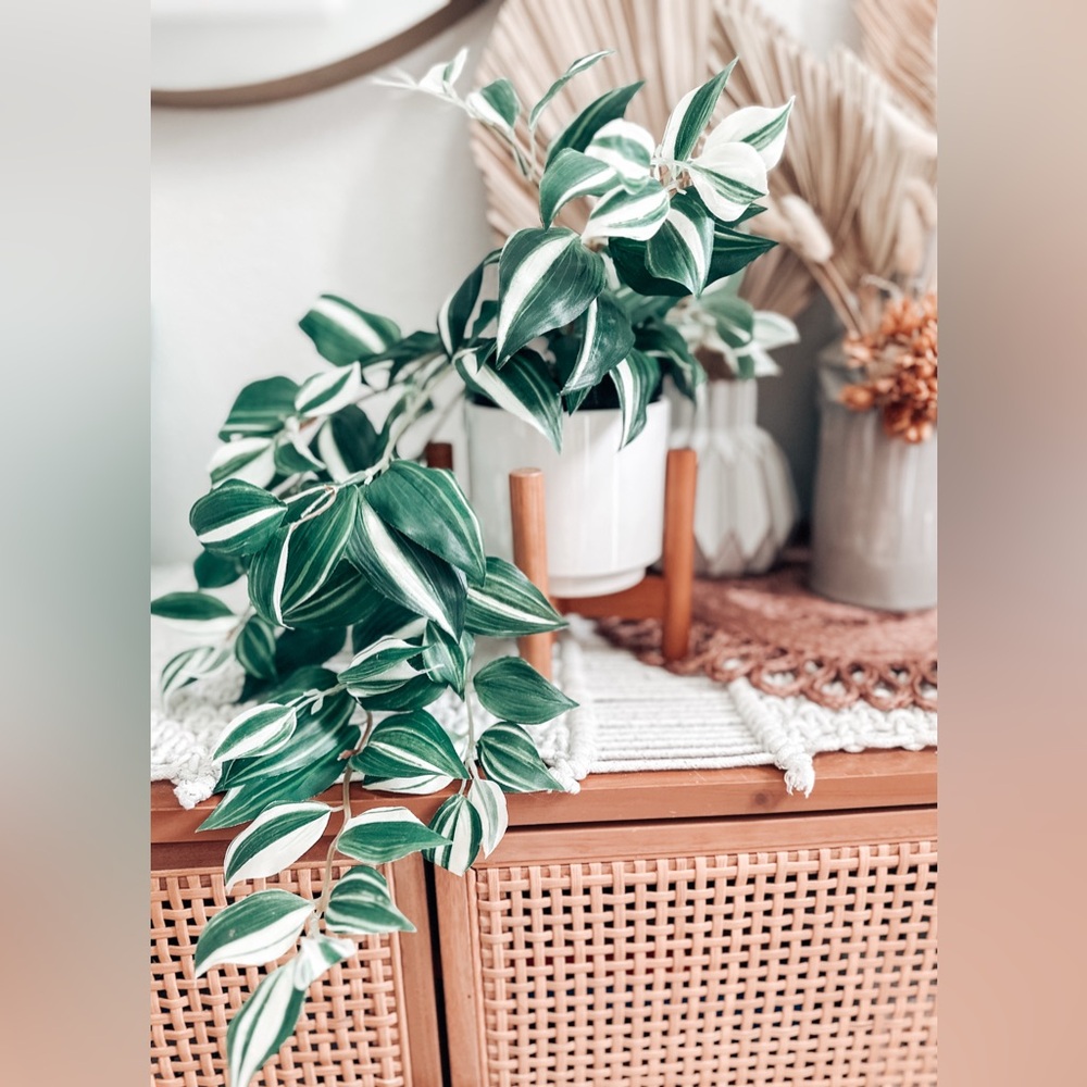 Pottery Barn Artificial Wandering Variegated Plant minimalist Boho Decor - Picture 2 of 7